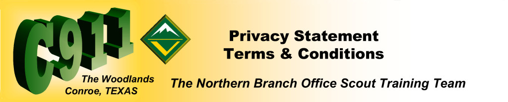 Site Terms and Conditions Masthead